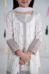 3 Piece Embroidered Lawn Suit
