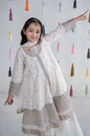 3 Piece Embroidered Lawn Suit