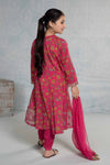 3 Piece Embroidered Lawn Suit