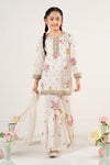 3 Piece Embroidered Lawn Suit