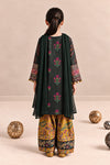 3 Piece Embroidered Khaddar Suit