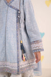 3 Piece Embroidered Lawn Suit
