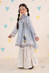 3 Piece Embroidered Lawn Suit