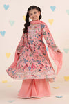 3 Piece Embroidered Lawn Suit