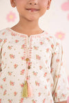 2 Piece Embroidered Lawn Suit