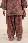 3 Piece Embroidered Lawn Suit
