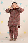 3 Piece Embroidered Lawn Suit