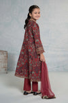 3 Piece Embroidered Lawn Suit