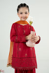 3 Piece Embroidered Lawn Suit