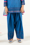 3 Piece Embroidered Lawn Suit