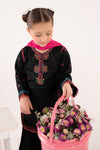 3 Piece Embroidered Cotton Suit