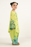 2 Piece Embroidered Lawn Suit