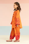2 Piece Embroidered Lawn Suit