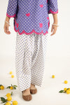 2 Piece Embroidered Lawn Suit