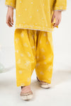 2 Piece Embroidered Dobby Lawn Suit