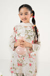 3 Piece Embroidered Lawn Suit