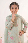 3 Piece Embroidered Lawn Suit