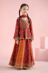 3 Piece Embroidered Khaddar Suit