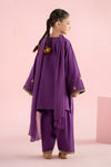 3 Piece Embroidered Khaddar Suit
