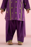 3 Piece Embroidered Khaddar Suit
