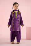 3 Piece Embroidered Khaddar Suit