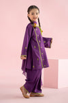 3 Piece Embroidered Khaddar Suit