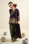 3 Piece Embroidered Khaddar Suit