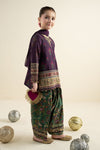 3 Piece Embroidered Khaddar Suit