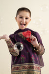3 Piece Embroidered Khaddar Suit