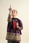 3 Piece Embroidered Khaddar Suit