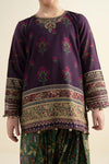 3 Piece Embroidered Khaddar Suit