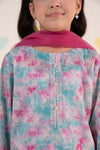 3 Piece Embroidered Lawn Suit