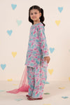 3 Piece Embroidered Lawn Suit
