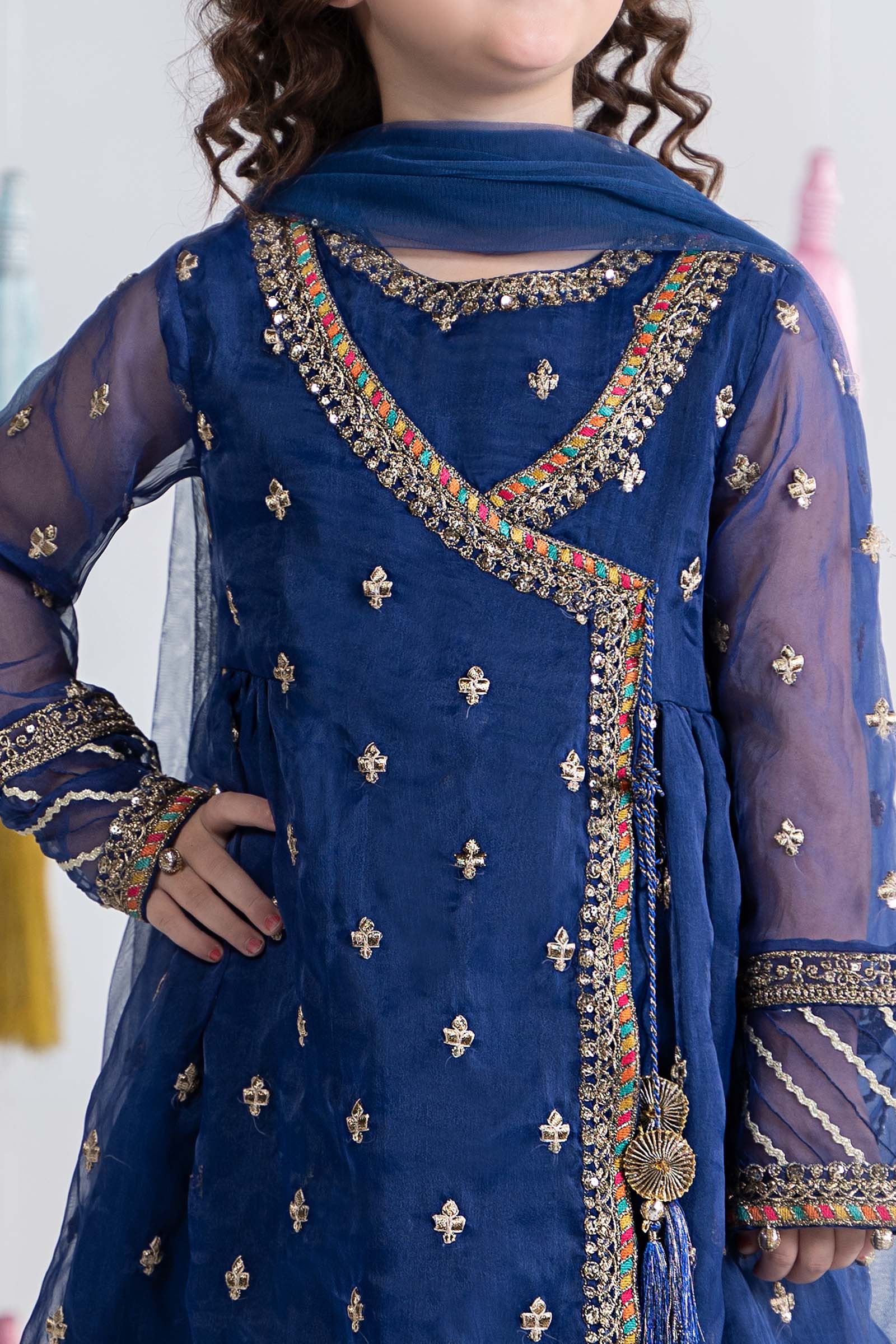3 Piece Embroidered Organza Suit