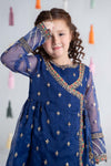 3 Piece Embroidered Organza Suit