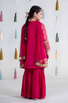 3 Piece Embroidered Organza Suit