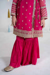 3 Piece Embroidered Organza Suit