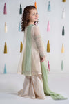 3 Piece Embroidered Cotton Net Suit