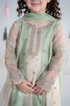 3 Piece Embroidered Cotton Net Suit