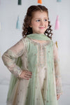 3 Piece Embroidered Cotton Net Suit