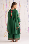 3 Piece Embroidered Bamberg Raw Silk Suit