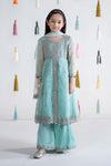 3 Piece Embroidered Organza Suit