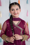 3 Piece Embroidered Net Suit