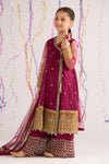 3 Piece Embroidered Net Suit