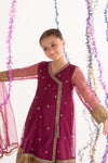3 Piece Embroidered Net Suit