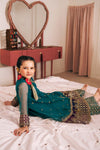 3 Piece Embroidered Net Suit