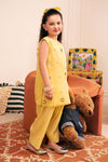 2 Piece Embroidered Organza Suit