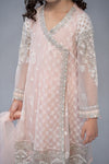 3 Piece Embroidered Suit