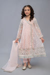 3 Piece Embroidered Suit