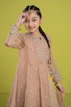 3 Piece Embroidered Organza Suit